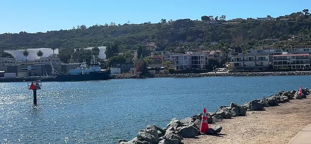 A Sunny Walk Along San Diego Bay at Shelter Island