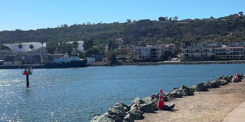A Sunny Walk Along San Diego Bay at Shelter Island