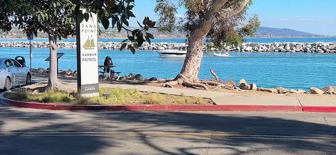 Blue Water and a Breakwater: A Quiet Harbor Morning