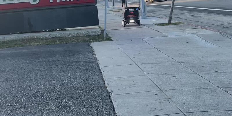 Golden Hour on an Ordinary Street Corner