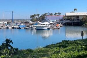 Calm marina with boats under a clear blue sky, seen from a grassy bank