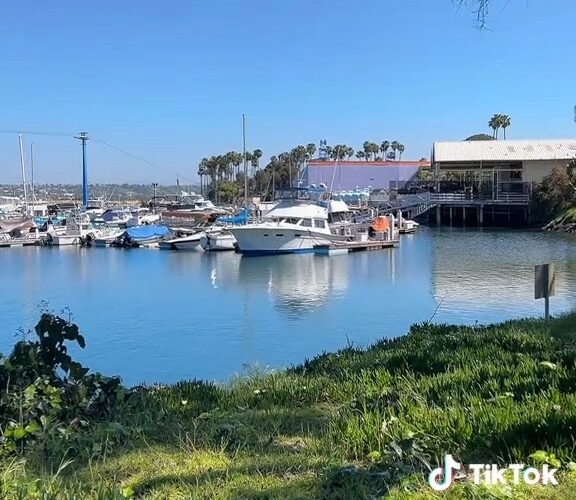 Fifteen Quiet Seconds by the Harbor