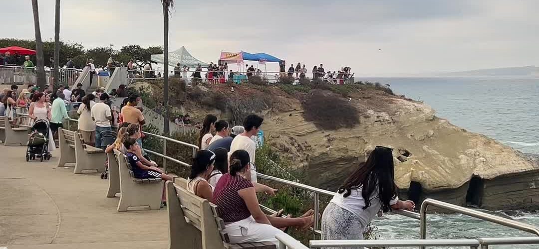La Jolla Cove: Crowds, Cliffs and Crashing Waves