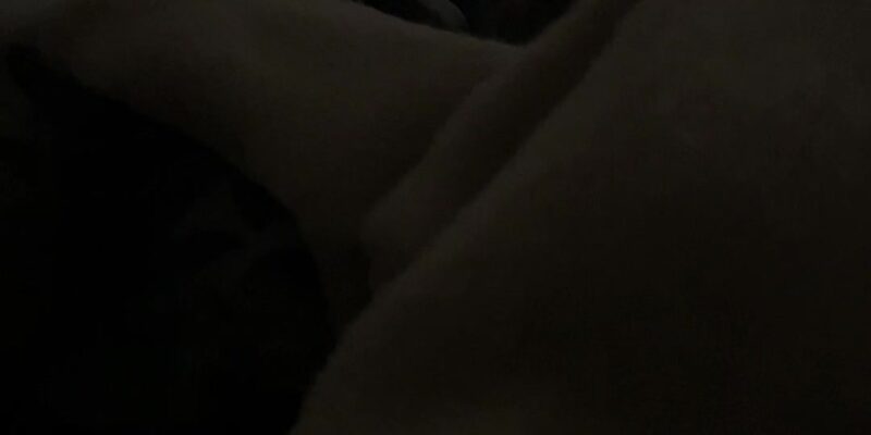 Midnight Ambush: The Cat Under the Blanket